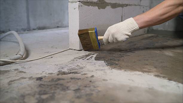 SJ Waterproofing Pros Waterproofing coverage map for Greenville, KY and surrounding area
